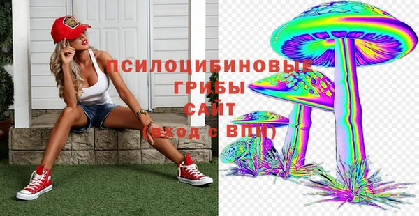 Альфа ПВП Осинники