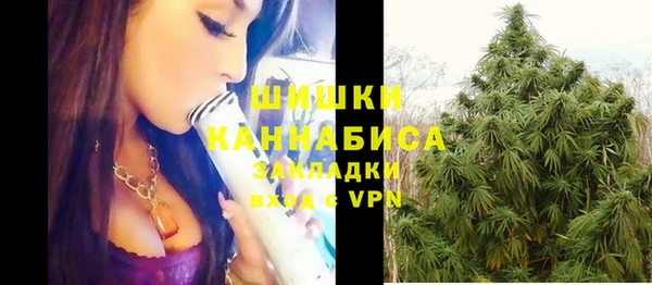 Альфа ПВП Осинники