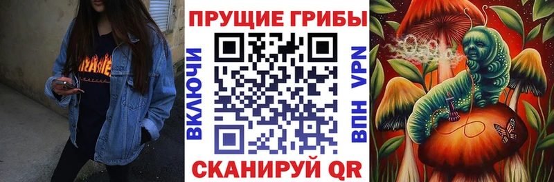 Псилоцибиновые грибы MAGIC MUSHROOMS как найти наркотики Пугачёв